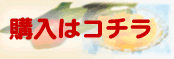 購入